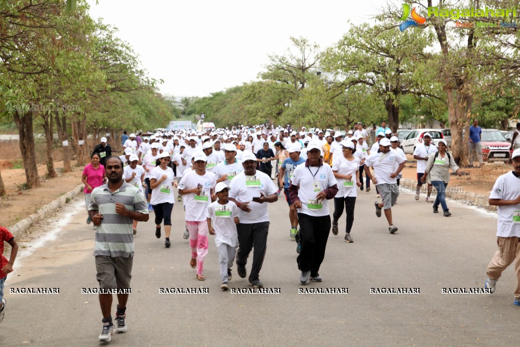 World Environment Day 2017 Celebrations - Ibrahim Lake Revival, Social Awareness 5K Run