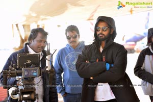 Lie Working Stills