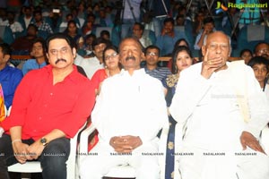 Baggidi Gopal Audio Launch