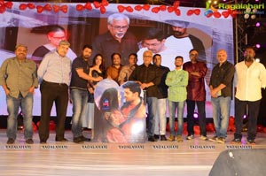 Naa Nuvve Audio Release