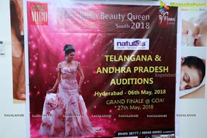 Mrs. India Beauty Queen South 2018 Auditions