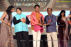 Cinegoers Association Film Awards 2017