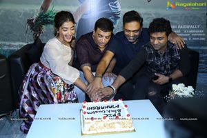 Maharshi Success Meet