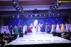 Mrs India Telangana 2019 Grand Finale