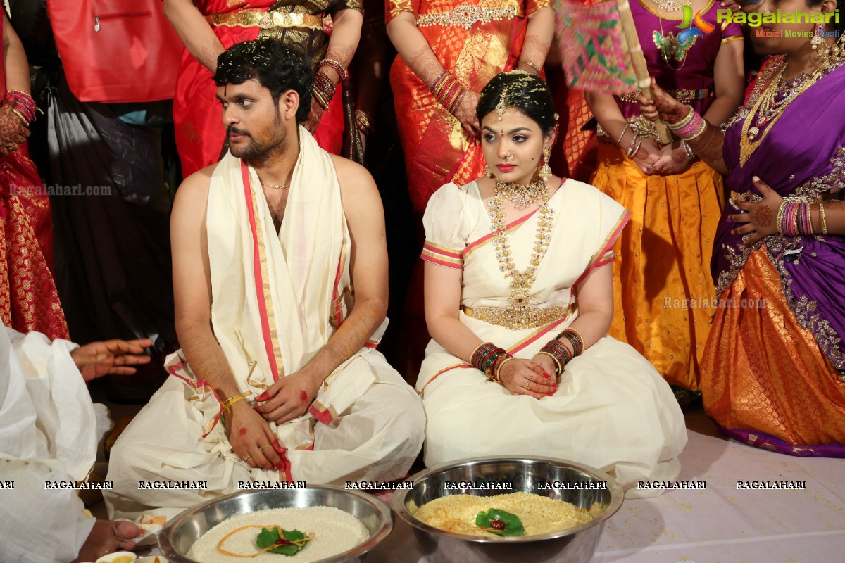 Tanikella Bharani Son Maha Teja Bharani's Wedding Photos