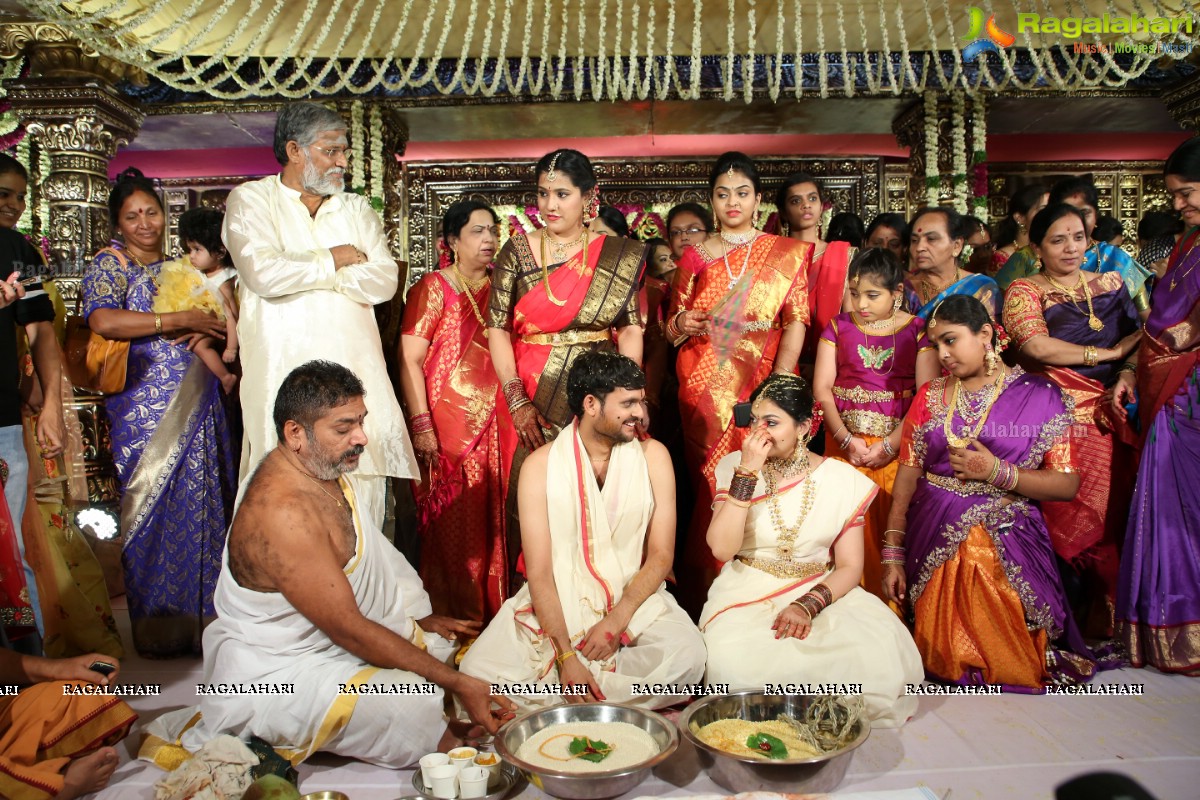 Tanikella Bharani Son Maha Teja Bharani's Wedding Photos
