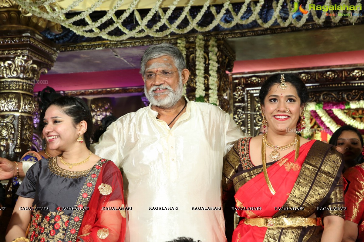 Tanikella Bharani Son Maha Teja Bharani's Wedding Photos