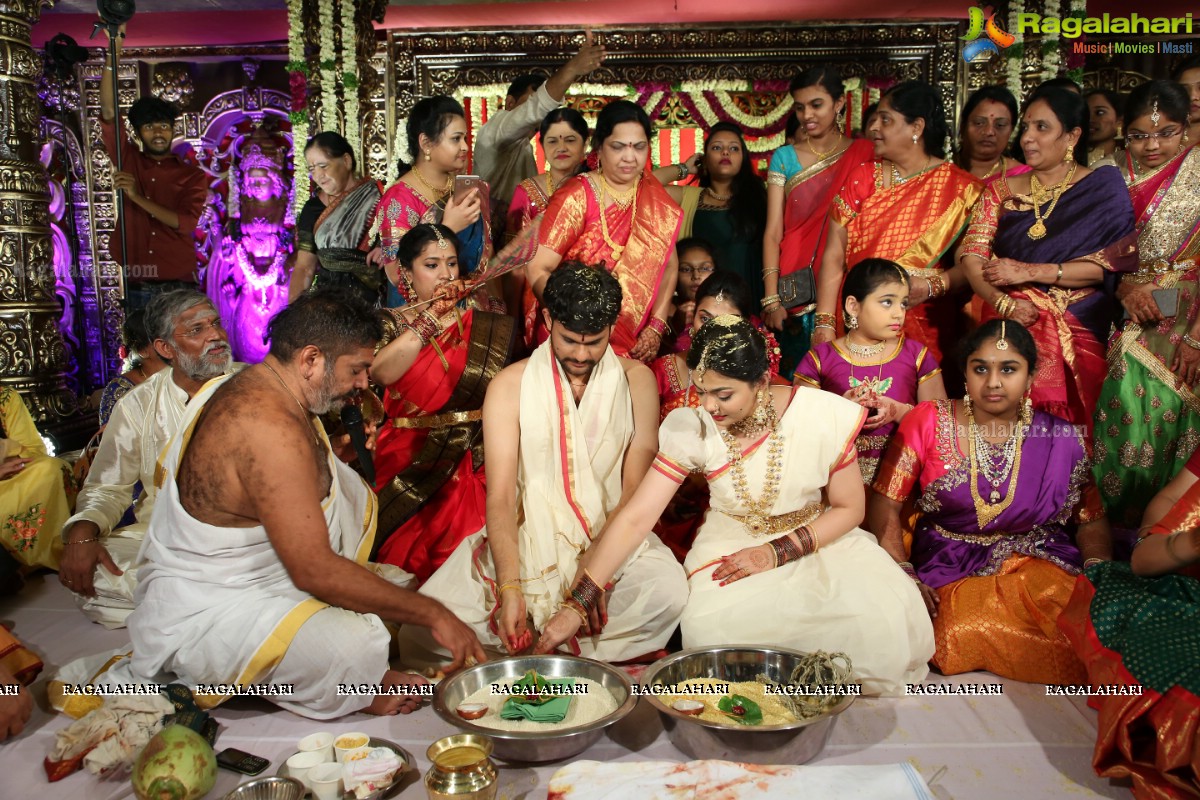 Tanikella Bharani Son Maha Teja Bharani's Wedding Photos