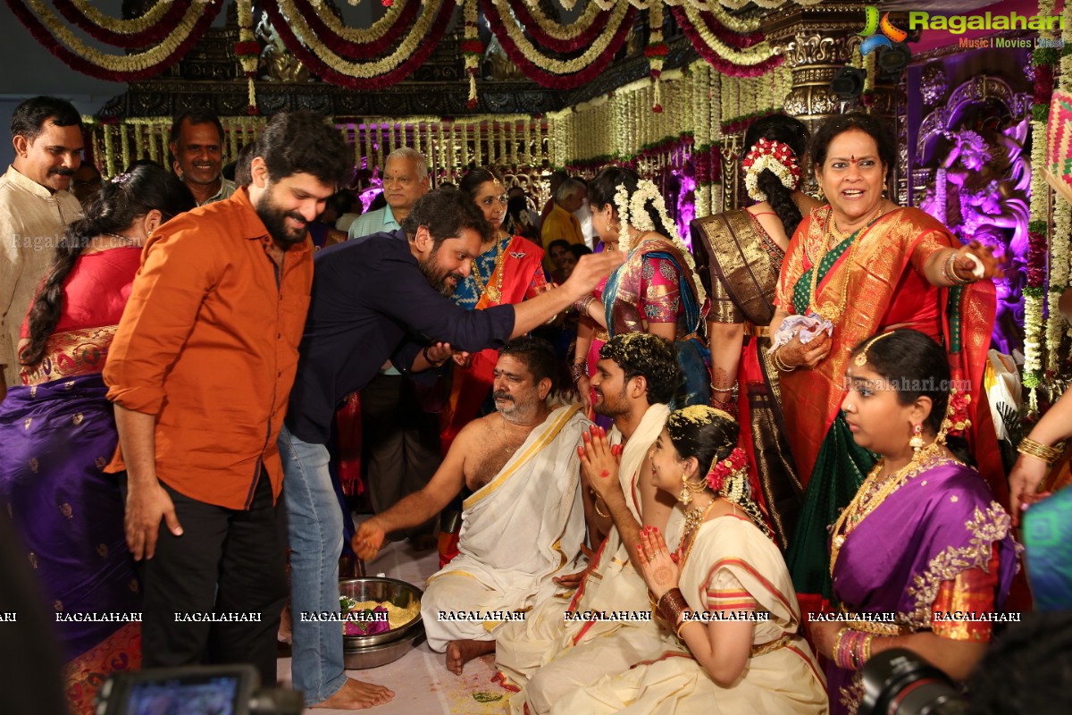 Tanikella Bharani Son Maha Teja Bharani's Wedding Photos