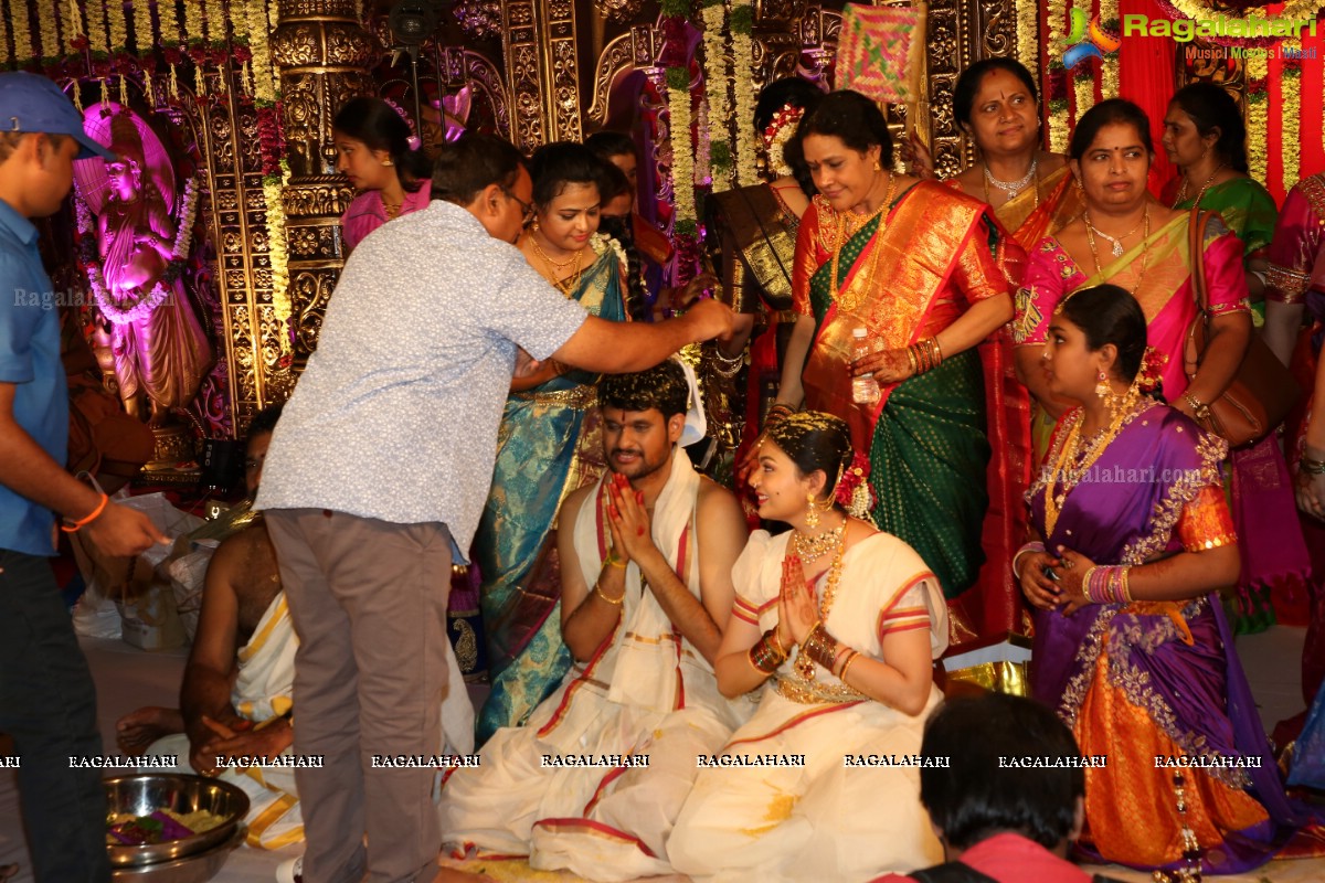 Tanikella Bharani Son Maha Teja Bharani's Wedding Photos