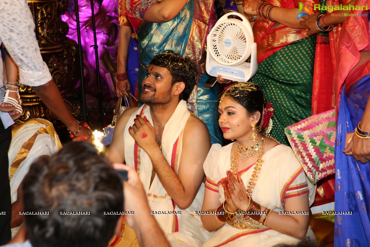 Tanikella Bharani Son Maha Teja Bharani's Wedding Photos