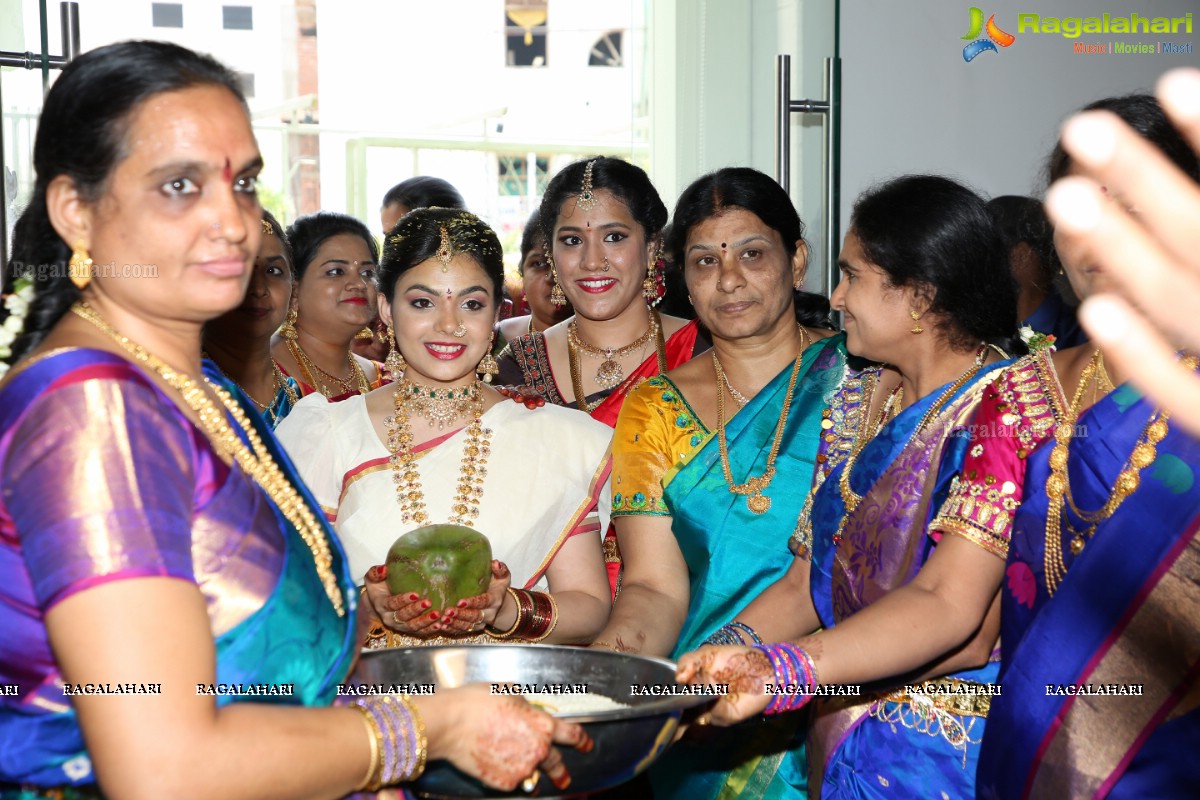 Tanikella Bharani Son Maha Teja Bharani's Wedding Photos