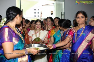 Tanikella Bharani Son Maha Teja Bharani's Wedding Photos