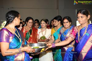 Tanikella Bharani Son Maha Teja Bharani's Wedding Photos