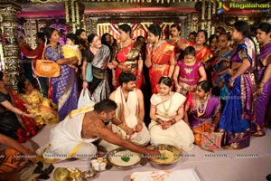 Tanikella Bharani Son Maha Teja Bharani's Wedding Photos