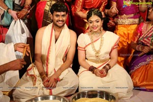 Tanikella Bharani Son Maha Teja Bharani's Wedding Photos