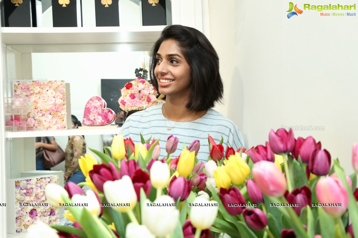 Tulip Festival at Champs Fleur in Jubilee Hills