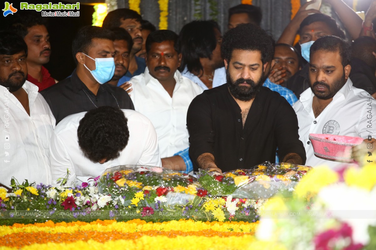 Jr NTR, Nandamuri Kalyanram and Others Pay Their Tribute to NTR on 100th Birth Anniversary