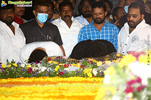 NTR Jayanthi - Jr NTR, Kalyan Ram Pay Tribute at NTR Ghat