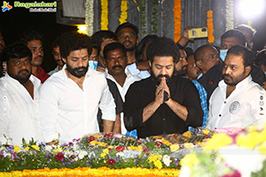 NTR Jayanthi - Jr NTR, Kalyan Ram Pay Tribute at NTR Ghat