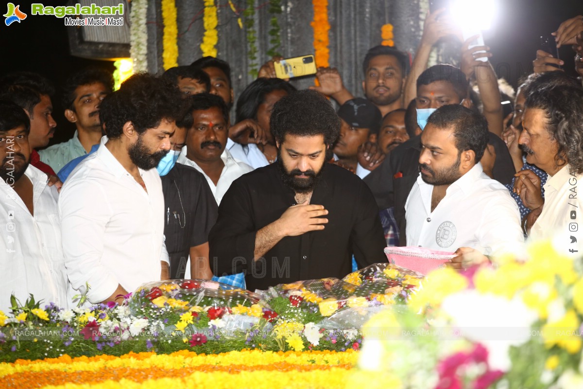 Jr NTR, Nandamuri Kalyanram and Others Pay Their Tribute to NTR on 100th Birth Anniversary