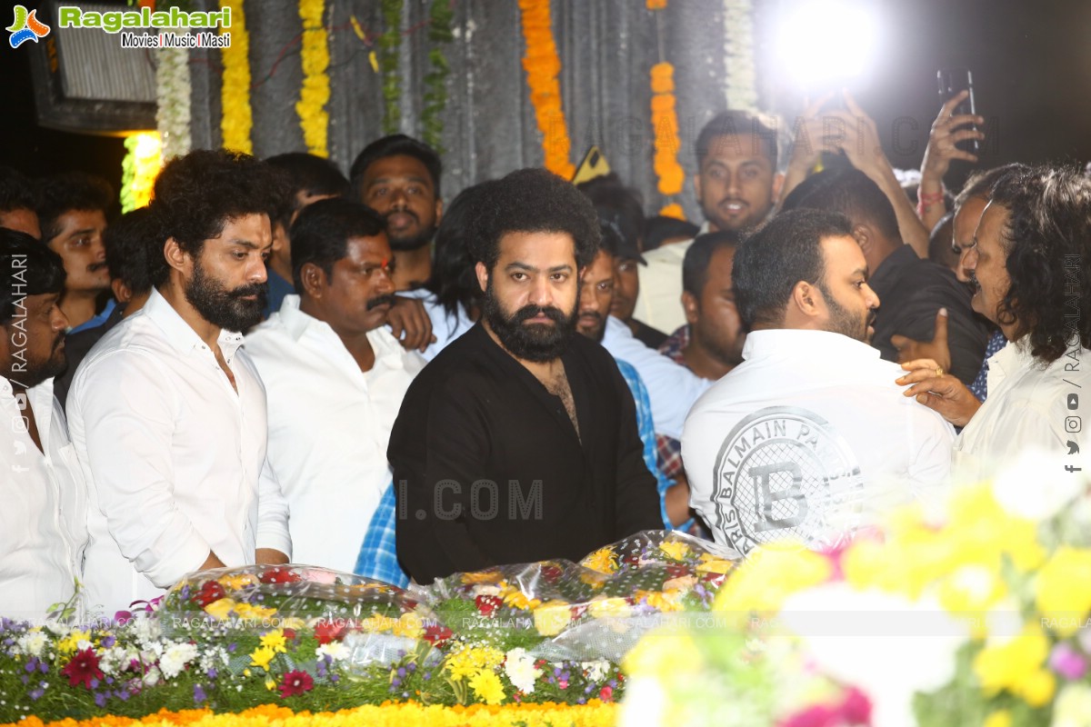 Jr NTR, Nandamuri Kalyanram and Others Pay Their Tribute to NTR on 100th Birth Anniversary
