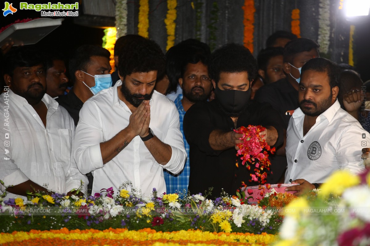 Jr NTR, Nandamuri Kalyanram and Others Pay Their Tribute to NTR on 100th Birth Anniversary