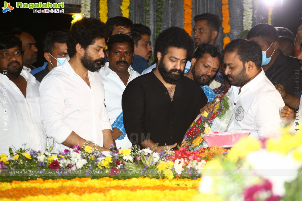 Jr NTR, Nandamuri Kalyanram and Others Pay Their Tribute to NTR on 100th Birth Anniversary