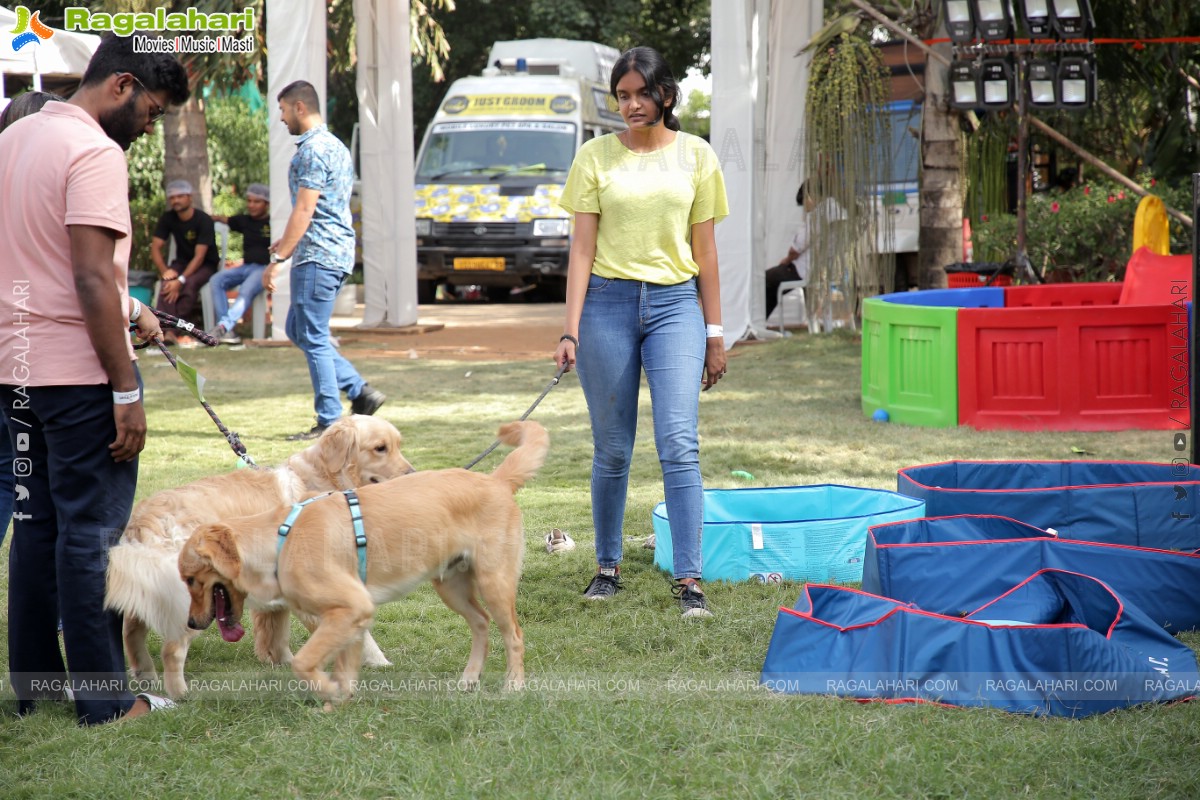 Peto'Fest by Woofing Tales at Phoenix Arena, Hitech City, Hyderabad