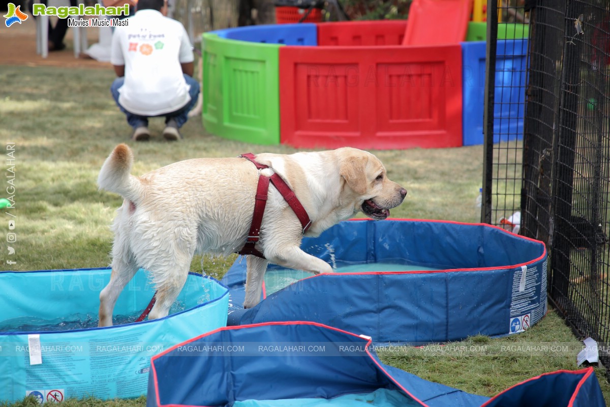 Peto'Fest by Woofing Tales at Phoenix Arena, Hitech City, Hyderabad