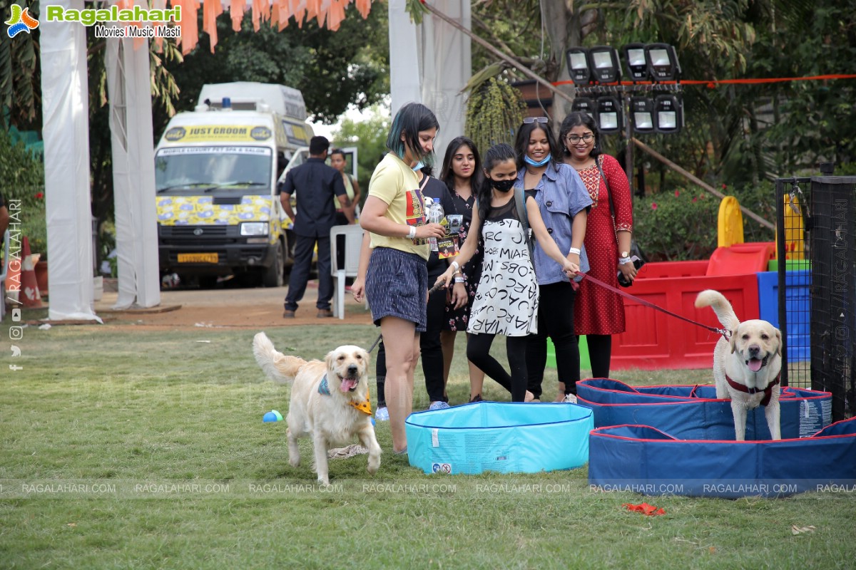 Peto'Fest by Woofing Tales at Phoenix Arena, Hitech City, Hyderabad