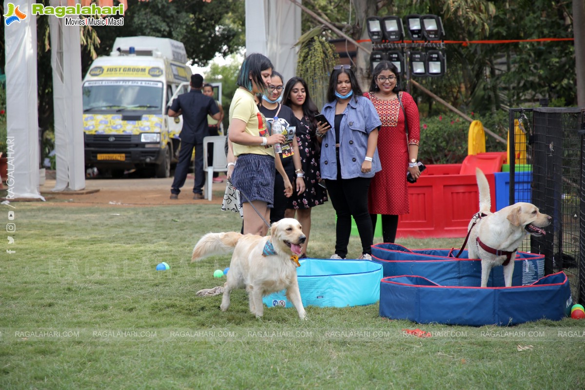 Peto'Fest by Woofing Tales at Phoenix Arena, Hitech City, Hyderabad