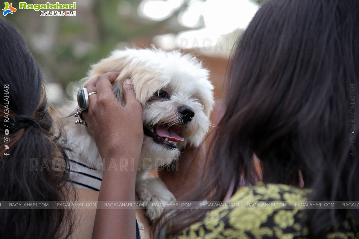 Peto'Fest by Woofing Tales at Phoenix Arena, Hitech City, Hyderabad