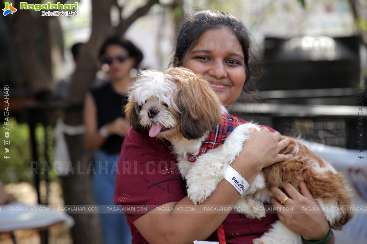 Peto'Fest by Woofing Tales at Phoenix Arena, Hitech City, Hyderabad