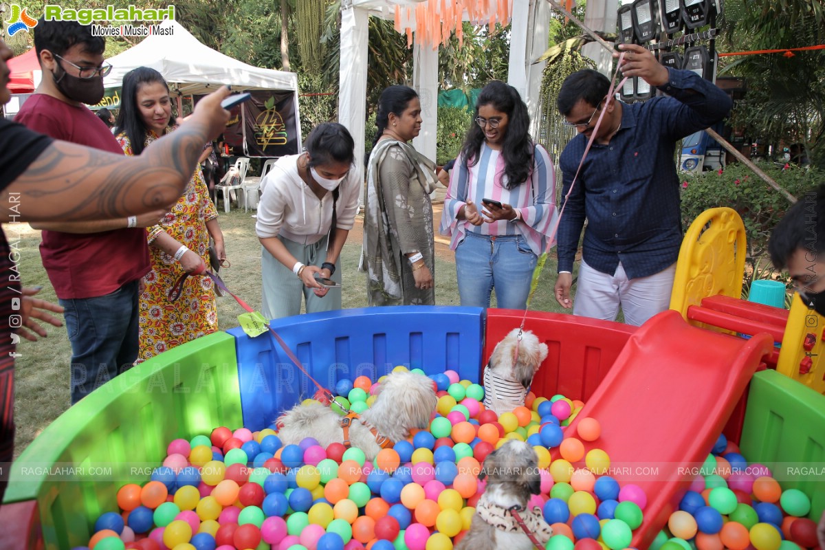 Peto'Fest by Woofing Tales at Phoenix Arena, Hitech City, Hyderabad