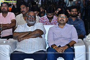 Pawan Kalyan's Hari Hara Veera Mallu Grand Press Meet