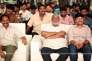 Pawan Kalyan's Hari Hara Veera Mallu Grand Press Meet