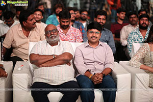 Pawan Kalyan's Hari Hara Veera Mallu Grand Press Meet