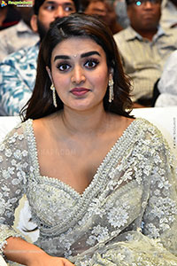Pawan Kalyan's Hari Hara Veera Mallu Grand Press Meet