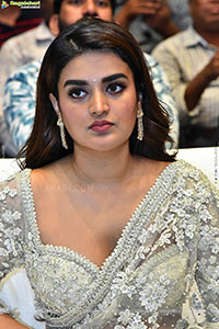 Pawan Kalyan's Hari Hara Veera Mallu Grand Press Meet