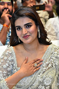 Pawan Kalyan's Hari Hara Veera Mallu Grand Press Meet