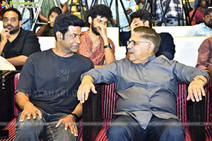 Single Movie Blockbuster Success Meet