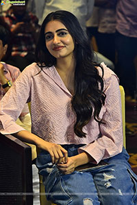 Single Movie Blockbuster Success Meet