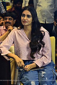 Single Movie Blockbuster Success Meet