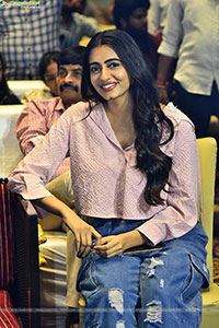 Single Movie Blockbuster Success Meet