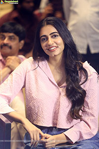 Single Movie Blockbuster Success Meet