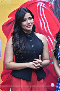 Single Movie Success Meet 