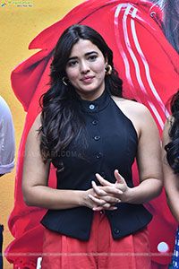 Single Movie Success Meet 
