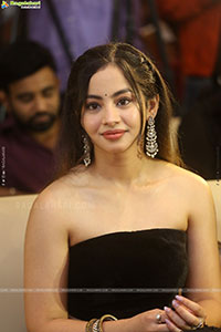 Subham Movie Success Celebrations