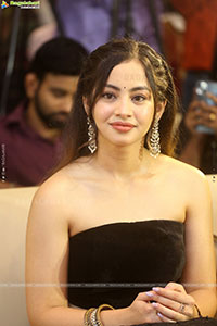 Subham Movie Success Celebrations